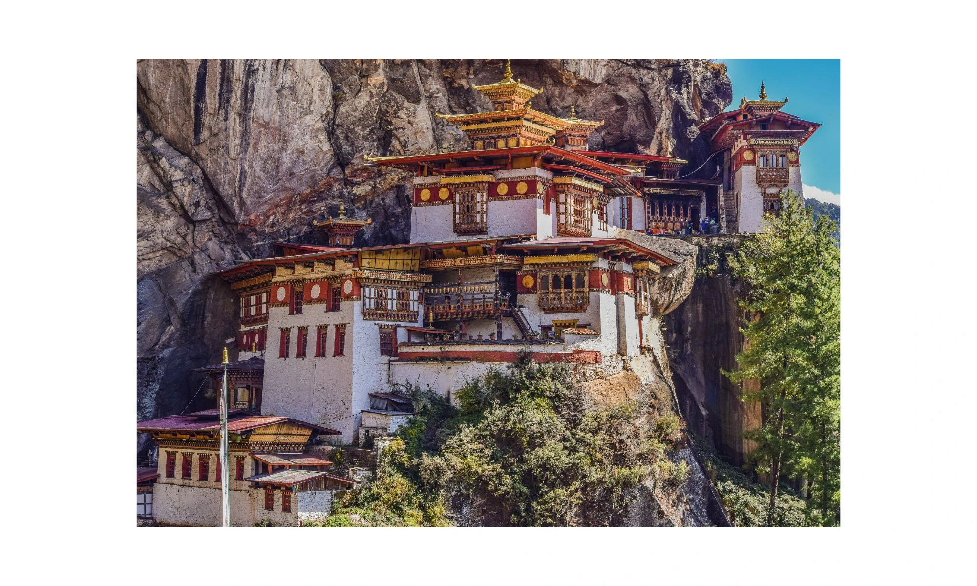 Booking Terms and Conditions