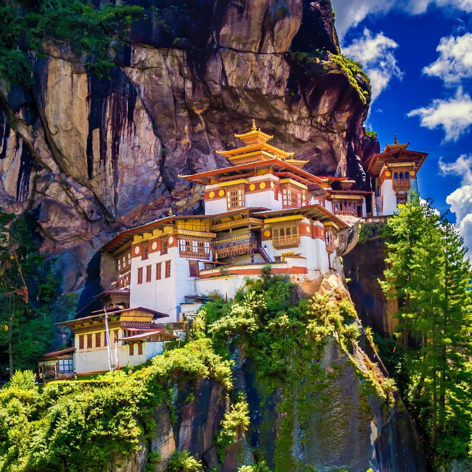 Druk Path Trek