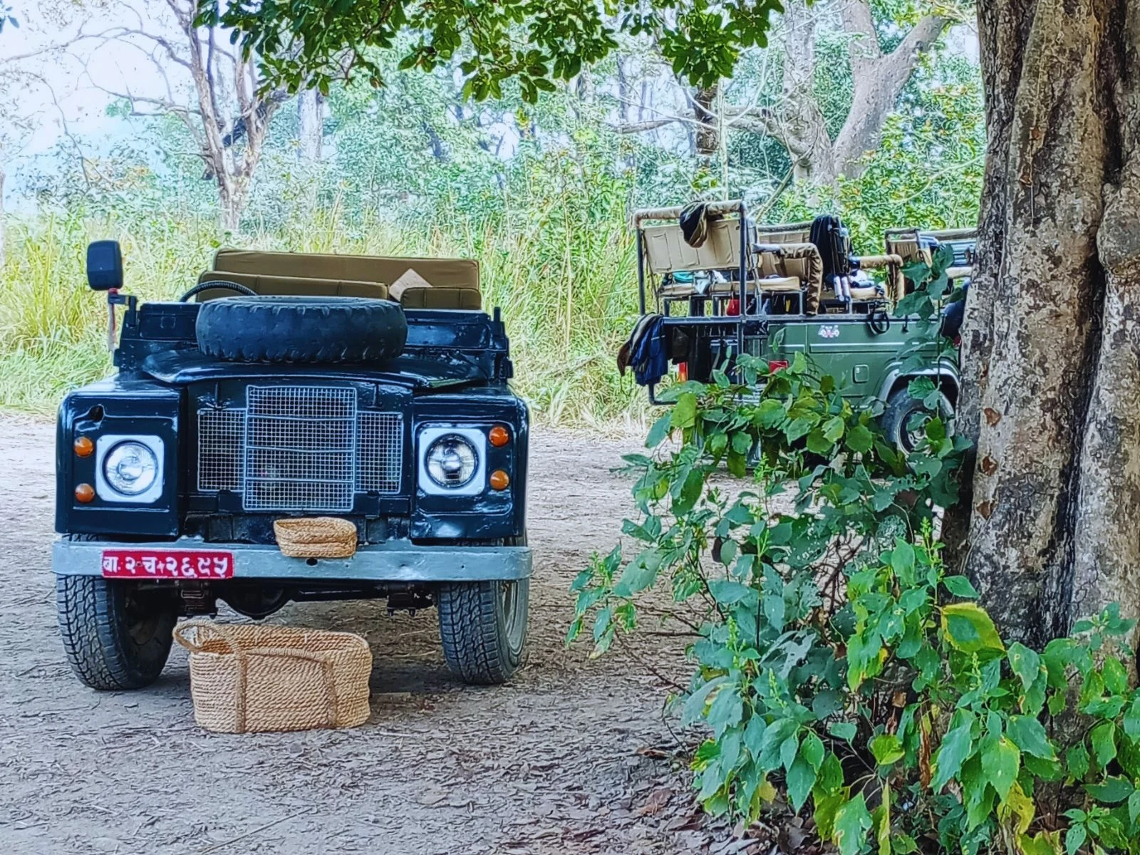 Nepal Wildlife Adventure