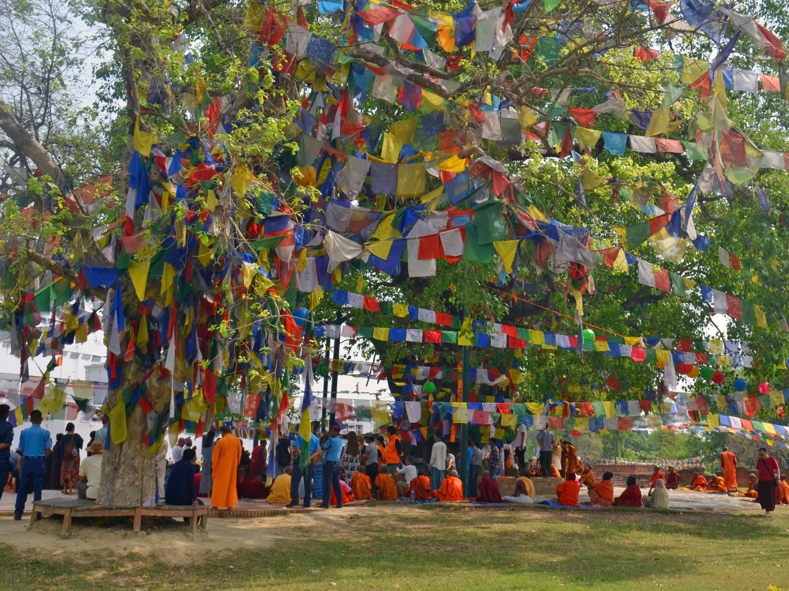 Nepal Wildlife Adventure